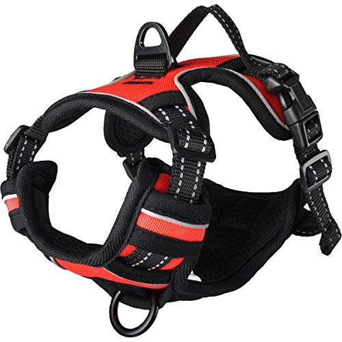 Flamingo Hundegeschirr - hundegeschirr kleine Hunde - 31–55cm A. Brust / 40–55cm B. Bauch Harness Balou Rot S Flamingo Hundegeschirr - hundegeschirr kleine Hunde - 31–55cm A. Brust / 40–55cm B. Bauch Harness Balou Rot S von Flamingo