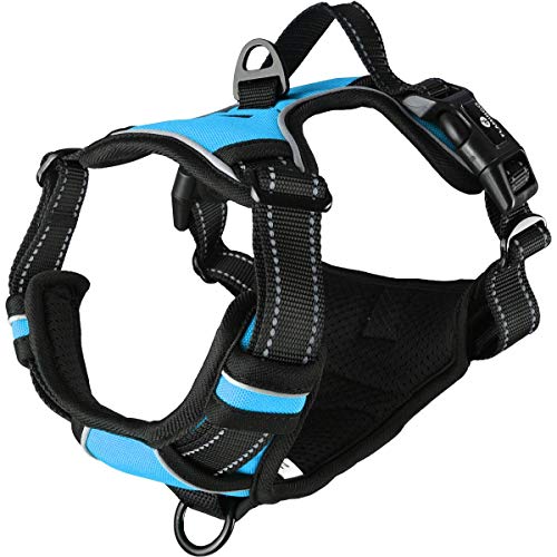 Flamingo Hundegeschirr - hundegeschirr mittelgroße Hunde - 32–56cm A. Brust / 50–65cm B. Bauch Harness Balou Blau M Flamingo Hundegeschirr - hundegeschirr mittelgroße Hunde - 32–56cm A. Brust / 50–65cm B. Bauch Harness Balou Blau M von Flamingo
