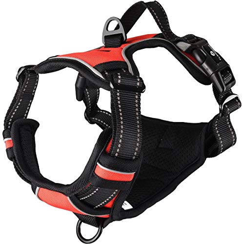 Flamingo Hundegeschirr - hundegeschirr mittelgroße Hunde - 32–56cm A. Brust / 50–65cm B. Bauch Harness Balou Rot M Flamingo Hundegeschirr - hundegeschirr mittelgroße Hunde - 32–56cm A. Brust / 50–65cm B. Bauch Harness Balou Rot M von Flamingo
