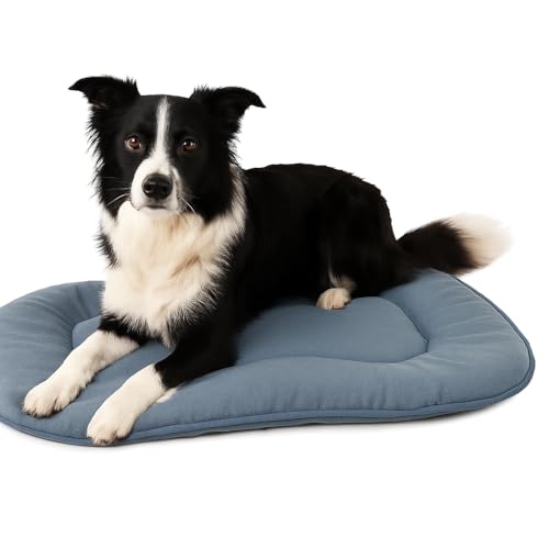 Flamingo Hundekissen - Katzenkissen - Hundekissen oval - Hundekissen mittelgroße Hunde 71 x 51 cm Hundekissen Firenze Dünn Oval Blau von Flamingo
