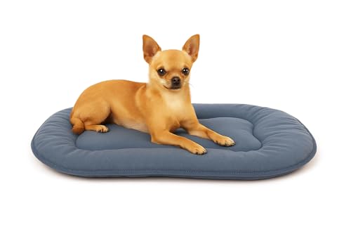 Flamingo Hundekissen - Katzenkissen - Hundekissen oval - Hundekissen kleine Hunde 45 x 33 cm Hundekissen Firenze Dünn Oval Blau Flamingo Hundekissen - Katzenkissen - Hundekissen oval - Hundekissen kleine Hunde 45 x 33 cm Hundekissen Firenze Dünn Oval Blau von Flamingo