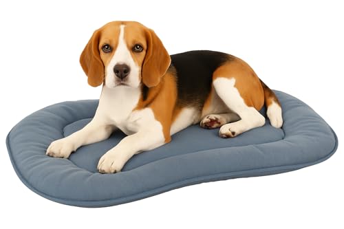 Flamingo Hundekissen - Katzenkissen - Hundekissen oval - Hundekissen mittelgroße Hunde 65 x 43,5 cm Hundekissen Firenze Dünn Oval Blau von Flamingo