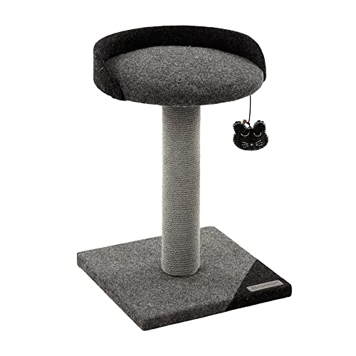 Flamingo Kratzbaum Robert – Grau/Dunkelgrau, 45 cm | Kompakter Spiel- & Kratzbaum für kleine Katzen von Flamingo