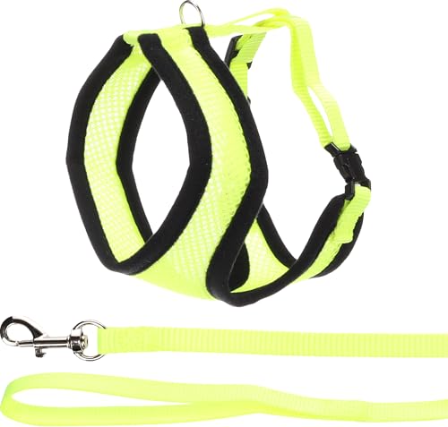 Flamingo Katzen-Geschirr mit Leine Harms – Gelb – Größe A: 32 cm, B: 36–48 cm, C: 110 cm x 10 mm x 2 mm – Verstellbares Nylon-Geschirr mit atmungsaktivem Mesh – Für normalgroße Katzen von Flamingo