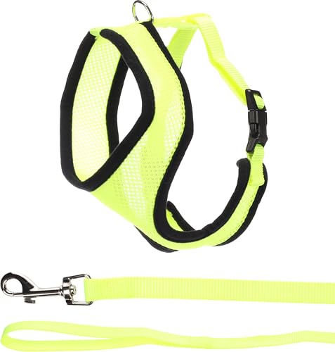 Flamingo Katzen-Geschirr mit Leine Harms – Gelb – Größe A: 37 cm, B: 43–55 cm, C: 120 cm x 15 mm x 2 mm – Verstellbares Nylon-Geschirr mit atmungsaktivem Mesh – Inklusive Leine – Für große Katzen von Flamingo
