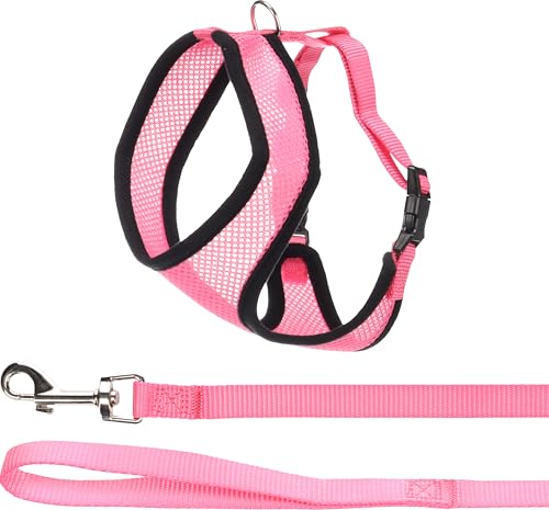 Flamingo Katzen-Geschirr mit Leine Harms – Rosa – Größe A: 37 cm, B: 43–55 cm, C: 120 cm x 15 mm x 2 mm – Verstellbares Nylon-Geschirr mit atmungsaktivem Mesh – Inklusive Leine – Für große Katzen von Flamingo