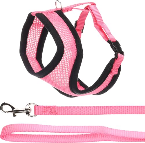 Flamingo Kitten-Geschirr mit Leine Harms – Rosa – Größe A: 28 cm, B: 32–41 cm, C: 110 cm x 10 mm x 2 mm – Verstellbares Nylon-Geschirr mit atmungsaktivem Mesh – Inklusive Leine von Flamingo