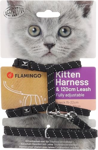 Flamingo Katzengeschirr mit Leine Elza – Schwarz – Für Kätzchen | Sicher, komfortabel & stilvoll! von Flamingo