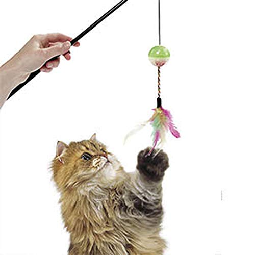 Flamingo Katzenspielzeug – Katzenangel Frizz mit Ball 50cm – Kunststoff mit Rasselball und Federn Flamingo Katzenspielzeug – Katzenangel Frizz mit Ball 50cm – Kunststoff mit Rasselball und Federn von Flamingo