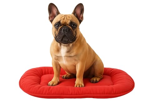 Flamingo Hundekissen - Katzenkissen - Hundekissen oval - Hundekissen kleine Hunde 55 x 39 cm Hundekissen Firenze Dünn Oval Grau von Flamingo