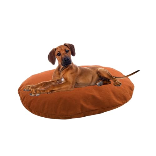 Flamingo Kissen Ziva Oval Terrakotta 80x62x8cm Flamingo Kissen Ziva Oval Terrakotta 80x62x8cm von Flamingo