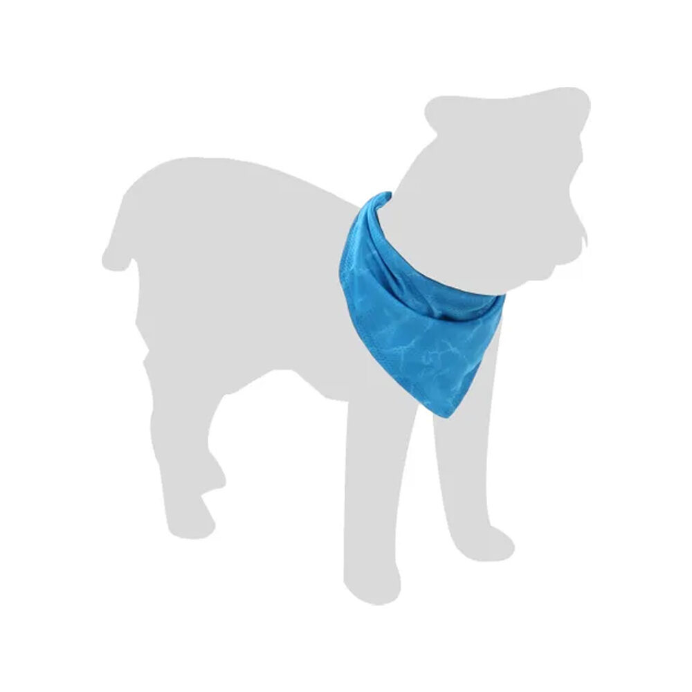 Flamingo Kühlbandana Fresk Inou - Blau - S Flamingo Kühlbandana Fresk Inou - Blau - S von Flamingo
