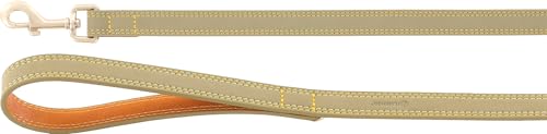 Flamingo Leine für Hund Virginia grün 130cm 20mm - Karabinerhaken mit einem matten goldfarbenen Finish - Mit Ring für Zubehör Flamingo Leine für Hund Virginia grün 130cm 20mm - Karabinerhaken mit einem matten goldfarbenen Finish - Mit Ring für Zubehör von Flamingo