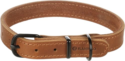 Flamingo Montana-Halsband aus Cognac-Leder, Größe M, 37 – 45 cm x 20 mm – mit Nieten und Schnalle mit Einer glänzenden schwarzen Oberfläche von Flamingo