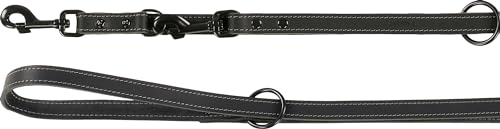 Flamingo Montana Trainingsleine, Leder, Schwarz, für Hunde, 200 cm x 20 mm, mit Nieten und Karabinerhaken, glänzend, Schwarz von Flamingo