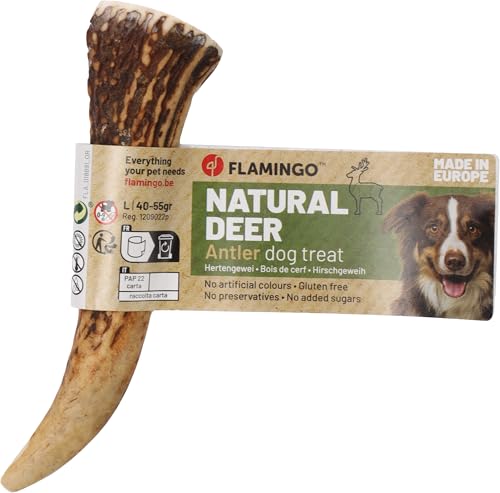 Flamingo Leckerli Hund – Snack Nature Hirschgeweih Easy – Größe L – 55g – gesägtes Geweih – Leichter Zugang zum Mark – aus Europa Flamingo Leckerli Hund – Snack Nature Hirschgeweih Easy – Größe L – 55g – gesägtes Geweih – Leichter Zugang zum Mark – aus Europa von Flamingo