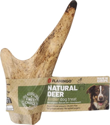 Flamingo Nature Snack HIRSCHGEWEIH Hard XL 1ST Flamingo Nature Snack HIRSCHGEWEIH Hard XL 1ST von Flamingo