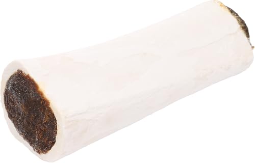 Flamingo Leckerli Hund – Natur Büffelcalciumknochen mit Lunge – 7,5cm – 230g – reich an Kalzium – Zahnpflege & Kauvergnügen von Flamingo