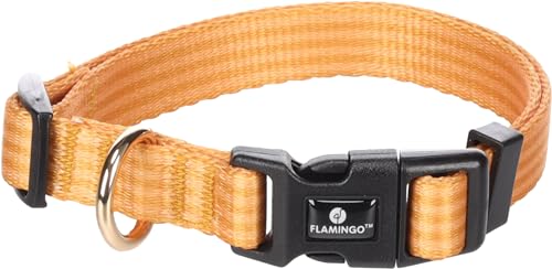 Flamingo Halsband Noekie Gelb – S | 30-45 cm x 15 mm x 2 mm, Langlebig, Stilvoll und Elegant – Für Kleine und Mittelgroße Hunde! Flamingo Halsband Noekie Gelb – S | 30-45 cm x 15 mm x 2 mm, Langlebig, Stilvoll und Elegant – Für Kleine und Mittelgroße Hunde! von Flamingo