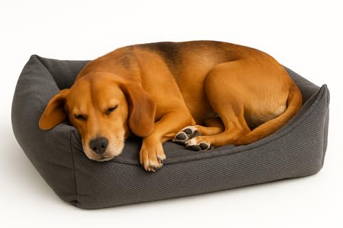 Flamingo Orthopädisches Hundebett Baldar – Rechteckig, Dunkelgrau, 65 cm | Ergonomischer & Bequemer Schlafplatz für Hunde! Flamingo Orthopädisches Hundebett Baldar – Rechteckig, Dunkelgrau, 65 cm | Ergonomischer & Bequemer Schlafplatz für Hunde! von Flamingo