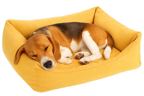 Flamingo Orthopädisches Hundebett Baldar – Rechteckig, Gelb, 65 cm | Ergonomischer & Bequemer Schlafplatz für Hunde! Flamingo Orthopädisches Hundebett Baldar – Rechteckig, Gelb, 65 cm | Ergonomischer & Bequemer Schlafplatz für Hunde! von Flamingo