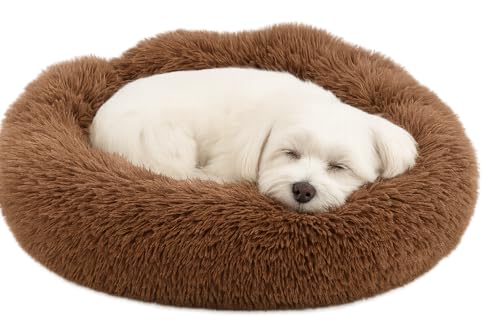 Flamingo Hundebett Pacha Rund – Mokka, Ø 55 cm | Gemütlich, Stilvoll & Pflegeleicht! Flamingo Hundebett Pacha Rund – Mokka, Ø 55 cm | Gemütlich, Stilvoll & Pflegeleicht! von Flamingo