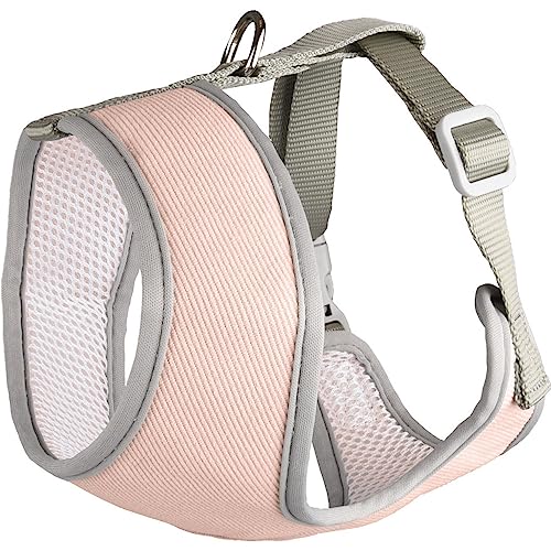 Flamingo Pet Products - Geschirr Small Dog Rosa M, Hals 35 cm, Körper verstellbar von 37 bis 50 cm für Hunde Flamingo Pet Products - Geschirr Small Dog Rosa M, Hals 35 cm, Körper verstellbar von 37 bis 50 cm für Hunde von Flamingo
