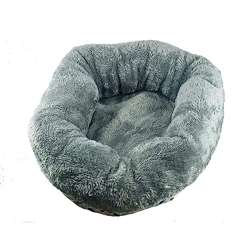 Flamingo Pet Products - Korb rund Clavio Ø 35 x 12 cm für Nagetiere Flamingo Pet Products - Korb rund Clavio Ø 35 x 12 cm für Nagetiere von Flamingo