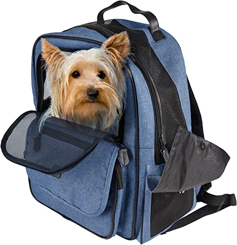 Flamingo - Rucksack für Haustiere – Transporttasche für Hunde und Katzen – 43 x 29 x 29 cm – hochwertige Qualität von Flamingo