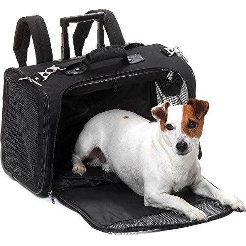 Flamingo SMART Trolley Norton SCHWARZ 54x25,5x36,5CM Flamingo SMART Trolley Norton SCHWARZ 54x25,5x36,5CM von Flamingo