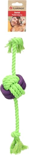 Flamingo Hundespielzeug – Gropa Knotenball & Seil 2 Knoten Grün/Lila – Zahnpflege – Länge 40 cm von Flamingo