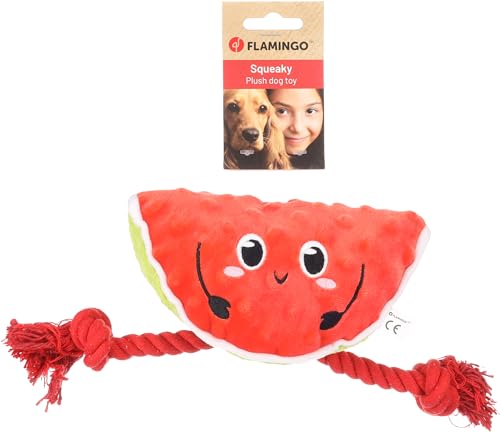 Flamingo Spielzeug für Hunde Bubto Wassermelone mit Seil rot - 17x10x20cm - Mit Squeaker Flamingo Spielzeug für Hunde Bubto Wassermelone mit Seil rot - 17x10x20cm - Mit Squeaker von Flamingo