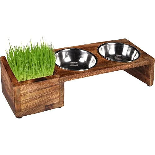 Futter- UND TRINKNAPF Set LELA MIT Schale FÜR KATZENGRAS Edelstahl 2x375ML 13CM Futter- UND TRINKNAPF Set LELA MIT Schale FÜR KATZENGRAS Edelstahl 2x375ML 13CM von Flamingo