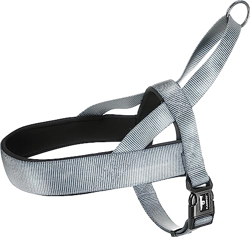 Norweger-Geschirr Abbi GRAU L 55-70CM 25MM Norweger-Geschirr Abbi GRAU L 55-70CM 25MM von Flamingo