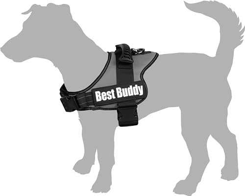 Flamingo Geschirr Best Buddy Pluto SCHWARZ S 50-70CM*25MM Flamingo Geschirr Best Buddy Pluto SCHWARZ S 50-70CM*25MM von Flamingo