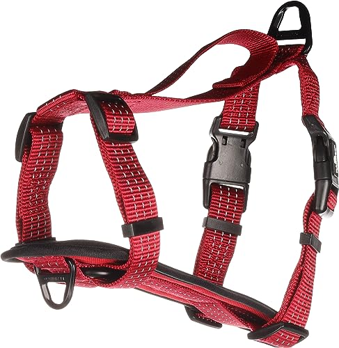 H-Geschirr ZORBA ROT L 70-90CM 32MM H-Geschirr ZORBA ROT L 70-90CM 32MM von Flamingo