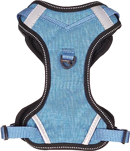 Flamingo Geschirr Heron BLAU S 34-41CM 15MM von Flamingo