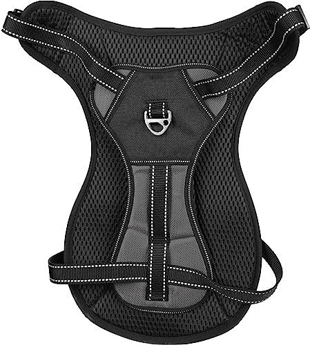 Geschirr Kelso GRAU XXL 68-106CM 25MM Geschirr Kelso GRAU XXL 68-106CM 25MM von Flamingo