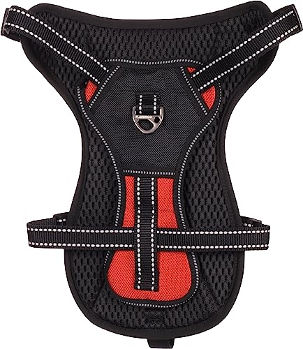 Geschirr Kelso ROT M 34-50CM 20MM von Flamingo