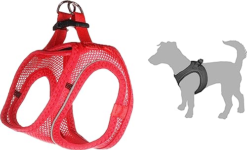 Flamingo Geschirr Step&GO BENTO ROT XS 30-32CM von Flamingo