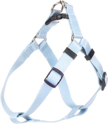 Flamingo Halsband Noekie Blau – S | A: 25-45 cm, B: 25-45 cm x 15 mm x 2 mm, Langlebig, Stilvoll und Elegant – Für Mittelgroße Hunde! von Flamingo