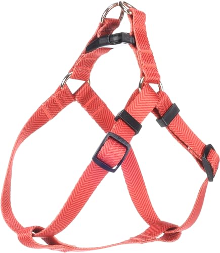 Flamingo Halsband Noekie Orange – S | A: 25-45 cm, B: 25-45 cm x 15 mm x 2 mm, Langlebig, Stilvoll und Elegant – Für Mittelgroße Hunde! von Flamingo