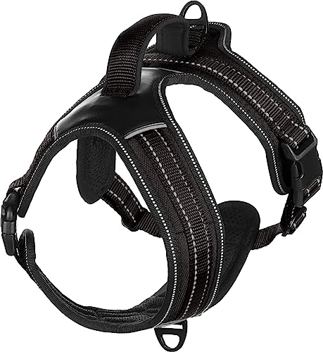 Geschirr TOGA SCHWARZ XS 47-57CM Geschirr TOGA SCHWARZ XS 47-57CM von Flamingo