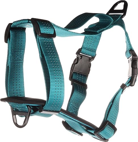 H-Geschirr ZORBA TÜRKIS S 40-55CM 25MM H-Geschirr ZORBA TÜRKIS S 40-55CM 25MM von Flamingo