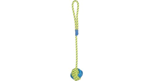 Flamingo HS TOFLA Ring ZERRSEIL BLAU/GELB + Ball 50x7,5x7,5CM von Flamingo