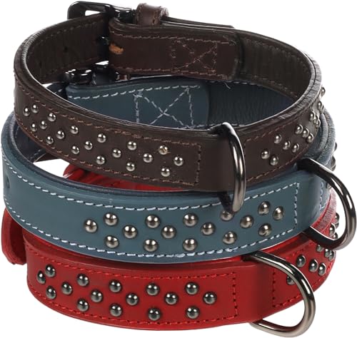 Halsband Denver + SCHMUCKELEMENTEN ROT L 41-50CM 35MM von Flamingo