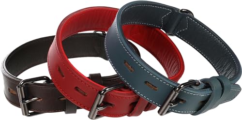 Halsband Denver BREIT ROT L 49-58CM 40MM von Flamingo