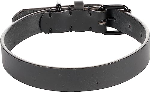 Halsband LEANO SCHWARZ M/L 38-48CM 25MM Halsband LEANO SCHWARZ M/L 38-48CM 25MM von Flamingo