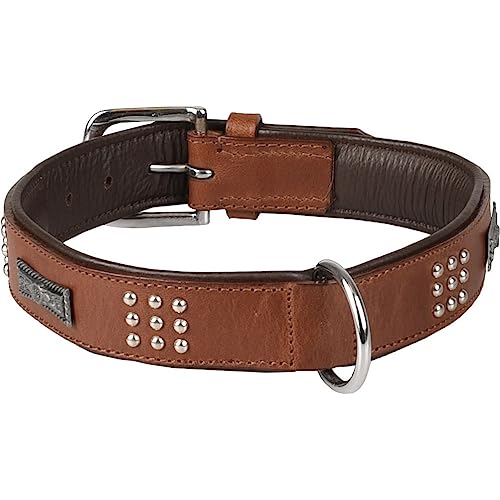 Halsband Sedona Leder + SCHMUCKELEMENTEN BRAUN XL 47-55CM 37MM Halsband Sedona Leder + SCHMUCKELEMENTEN BRAUN XL 47-55CM 37MM von Flamingo