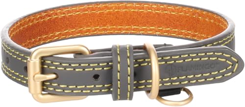 Flamingo Halsband für Hund Virginia grau XS/S 24-30cm 15mm - Mit einem Ring für ID-Anhänger - Genäht für extra Stärke Flamingo Halsband für Hund Virginia grau XS/S 24-30cm 15mm - Mit einem Ring für ID-Anhänger - Genäht für extra Stärke von Flamingo